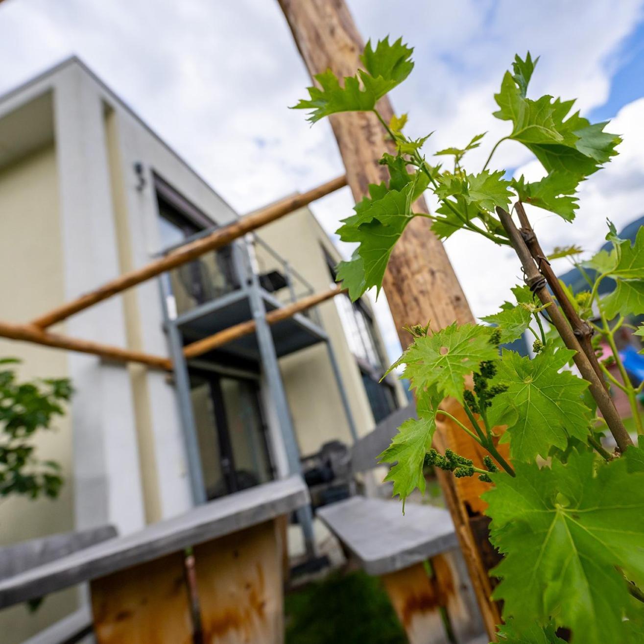 Biohof Gala Apartamento Naturns Exterior foto
